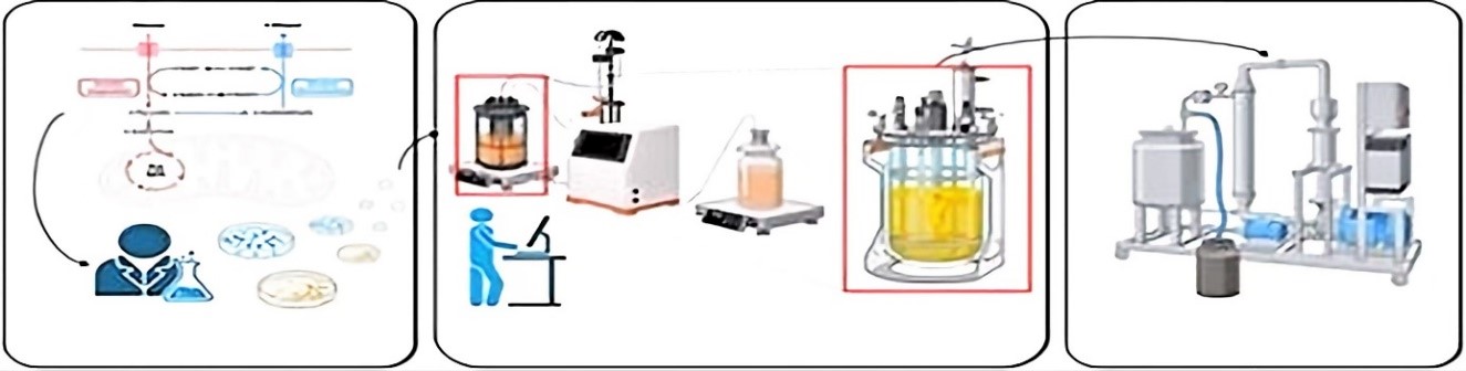 Intelligent Optimization Platform for Biological Fermentation