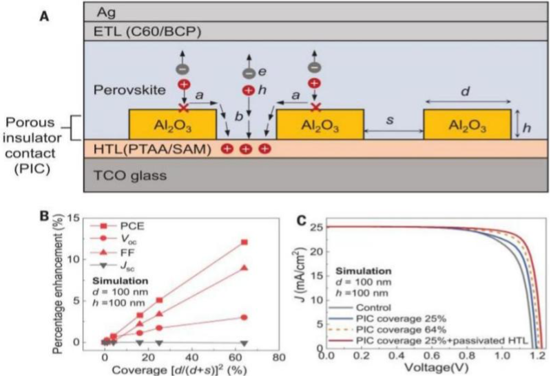 Development and Future Prospects of Perovskite Solar Cells