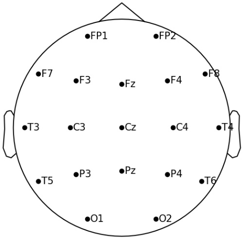 EEG-Based PTSD Classification Using Random Forest, CNN, and Ensemble ...