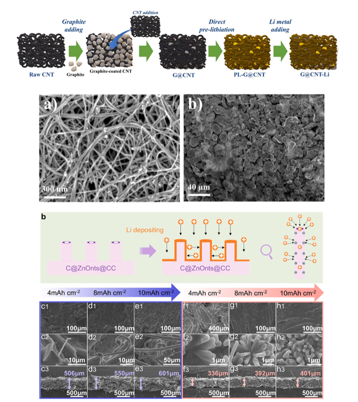 Lithium Metal Anode Engineering: from Current Collectors to Hosts